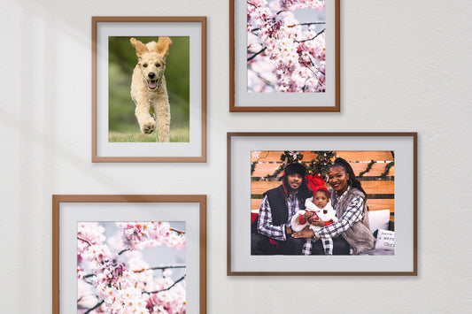 Premium Photo Prints